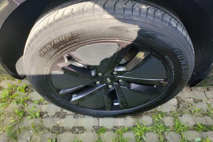 Used Li Auto L6 2024 Pro Model
