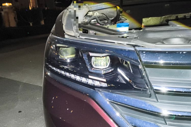 Used Volkswagen Viloran 2020 330TSI Luxury Edition
