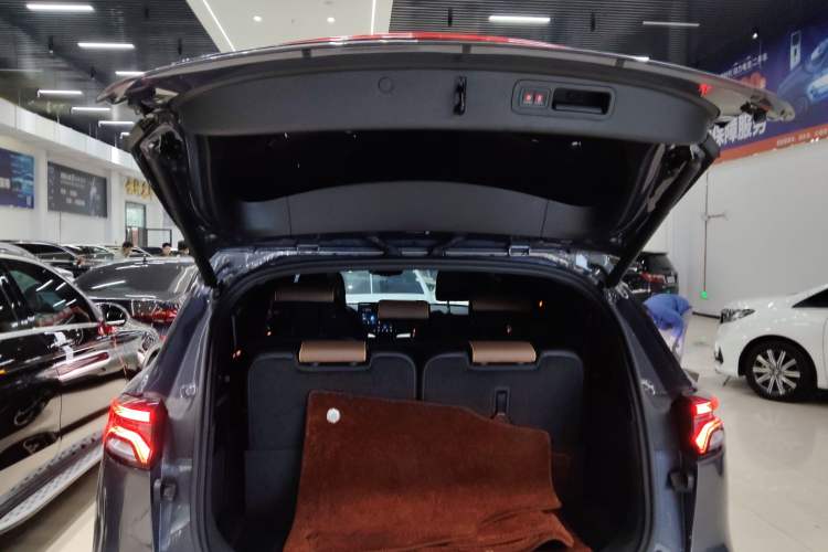 Used BYD Tang New Energy 2021 DM-i 112KM Prestige Model