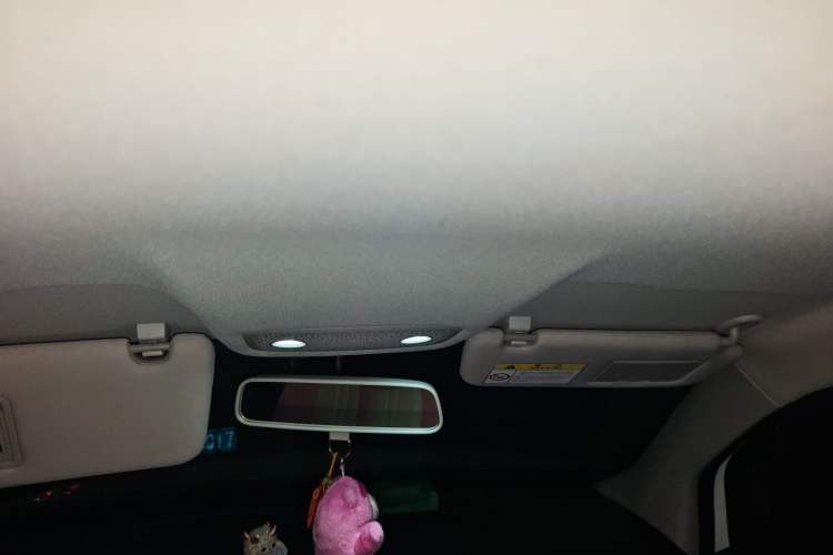 Used Leapmotor T03 2022 Glazed Edition Headliner