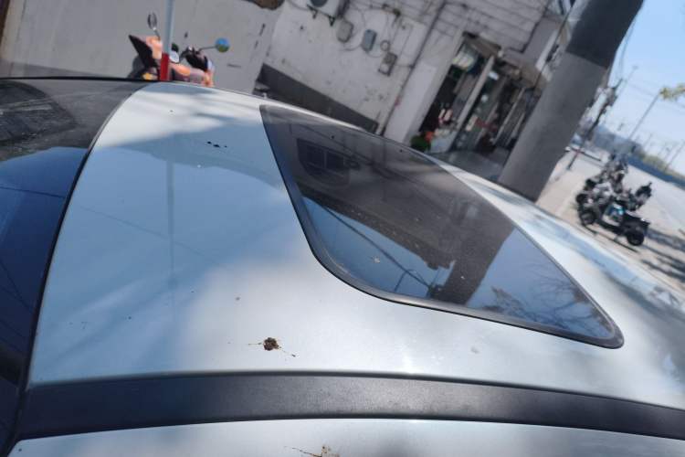 Used Ford Focus 2017 Sedan EcoBoost 180 Automatic Elite Model