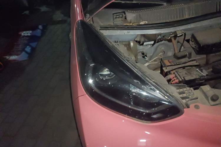 Used Chery QQ Little Ant 2021 150 000 Yuan "Ant Fan" Edition New Ant Cool Version Lithium-Ion Battery
