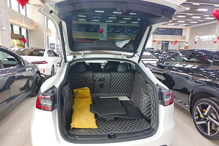 Used Tesla Model Y 2021 Long-Range All-Wheel-Drive Version 3D7