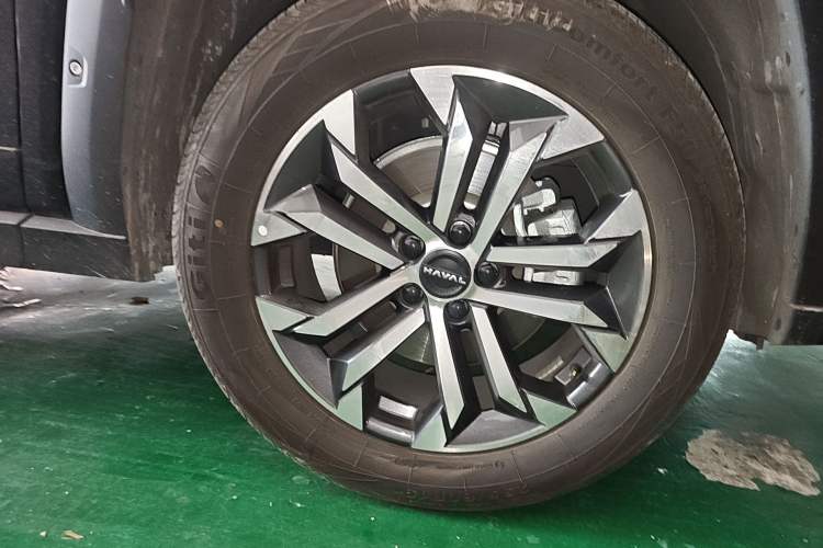 Used Haval H Dog 2023 1.5T Two-Wheel Drive Chao Ye Version Plus
