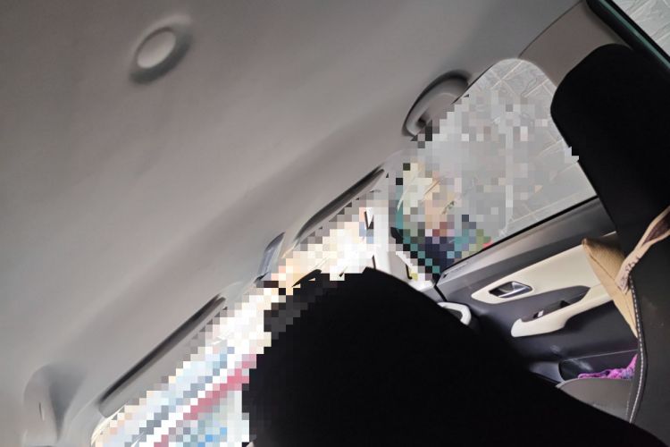 Used Pocco Duoduo 2022 Le Duoduo
