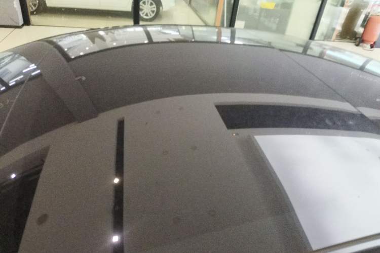 Used Tesla Model 3 2023 Rear-Wheel-Drive Version Roof