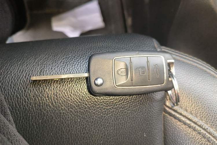 Used FORTHING Lingzhi 2022 Striving Version M5L 2.0L Luxury 7-Seater