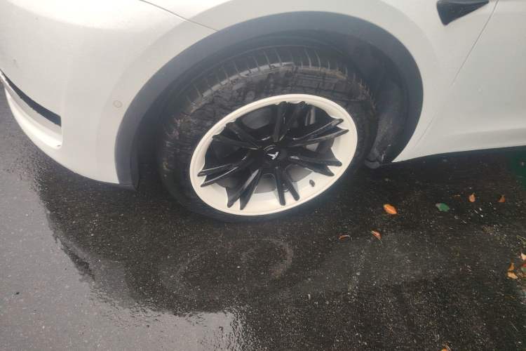 Used Tesla Model Y 2022 Revised Version Rear-Wheel Drive Exterior 4