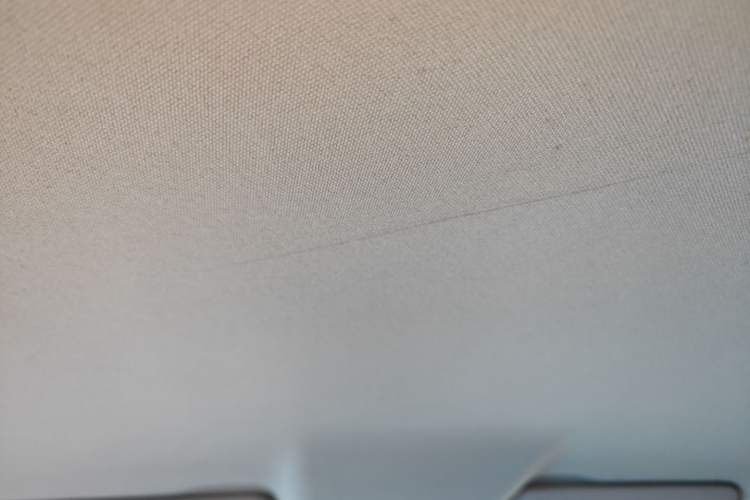 Used Leapmotor T03 2022 Agate Edition Headliner