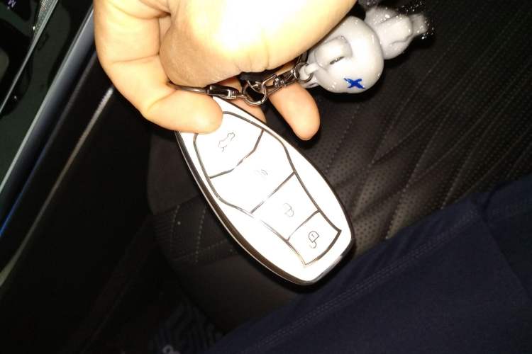 Used Hongqi HS5 2023 2.0T Qixiang Pro Edition