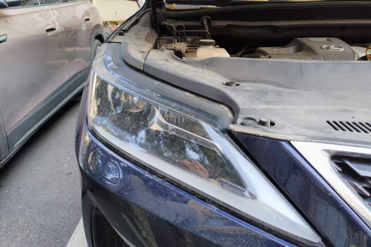 Used Lexus RX 2020 Revised Version 300 Two-Wheel Drive Comfort Edition
