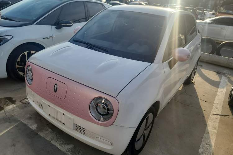 Used ORA Black Cat 2022 Updated Version 301 km Cute Pet Edition Lithium Iron Phosphate