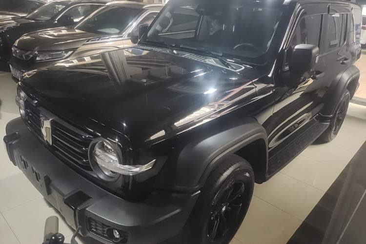 Used Tank 300 2024 2.0T Conqueror