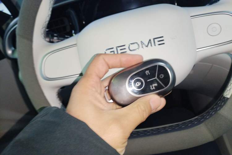 Used Geely Galaxy Geome 2025 310km Youth Edition
