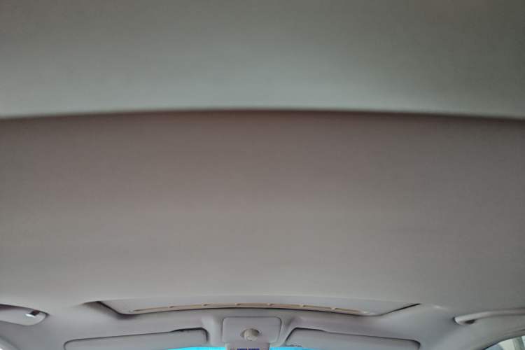 Used Volkswagen Beetle 2010 1.8T BlackOrange Luxury Edition Headliner