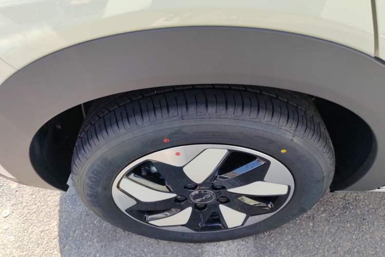 Used BYD Dolphin 2025 420km Free Edition