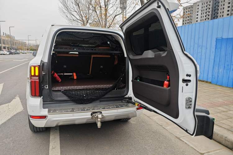 Used Tank 500 New Energy 2023 Hi4-T Trunk