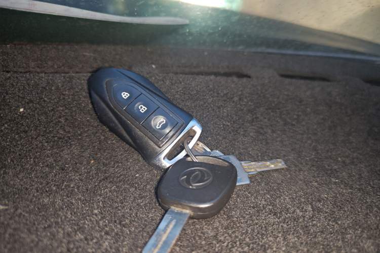 Used Leopaard CS10 2017 2.0T Manual Excellence Edition
