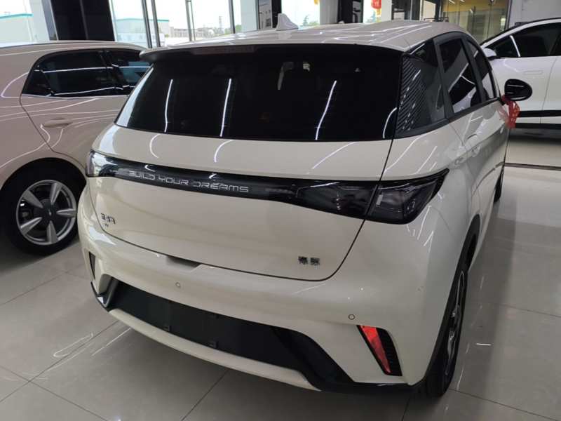 Used BYD Dolphin 2024 Honor Edition 420km Freedom Version — 5