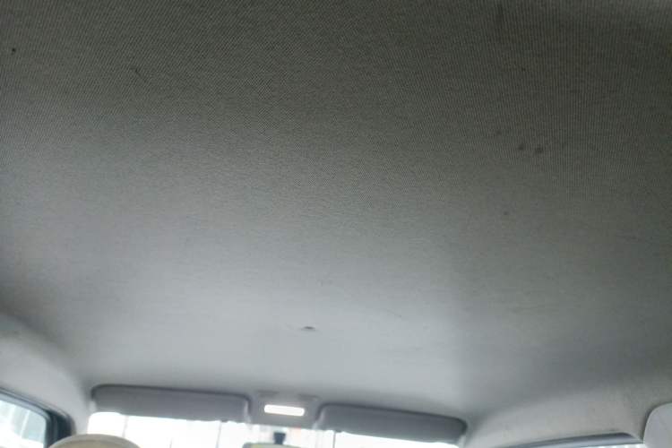 Used Geely Galaxy Panda 2023 Panda Mini 200km Endurance Bear Headliner