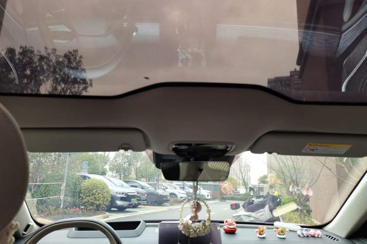 Used NETA S 2022 All-Electric 715 km Range Rear-Drive Deluxe Version Headliner