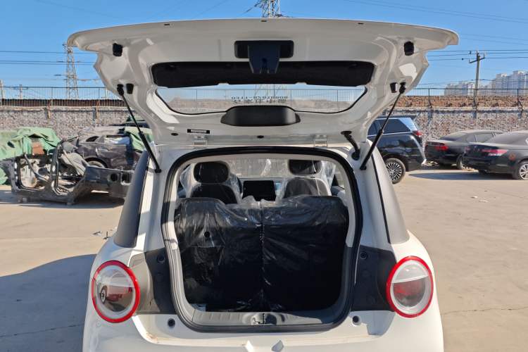 Used Qiyuan Lumin 2025 205 km Xiangqin Version
