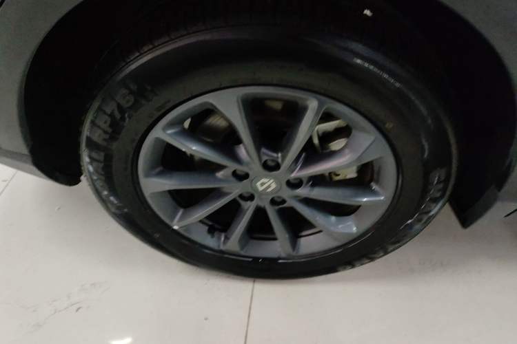 Used Leapmotor C11 2023 Pure Electric 500 Comfort Edition
