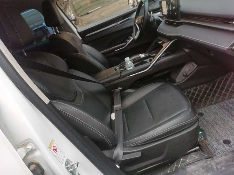 Used Haval H6 2021 3rd Generation 2.0T Automatic Two-Wheel Drive Max — 24