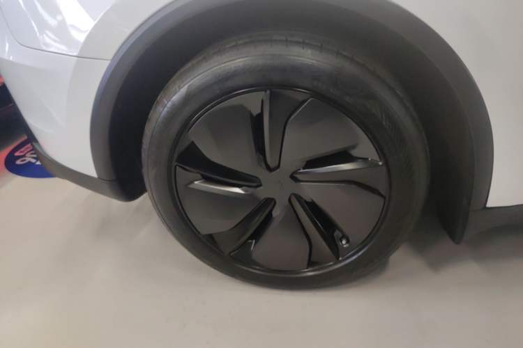 Used Tesla Model Y 2025 Rear-Wheel-Drive Version Exterior 5