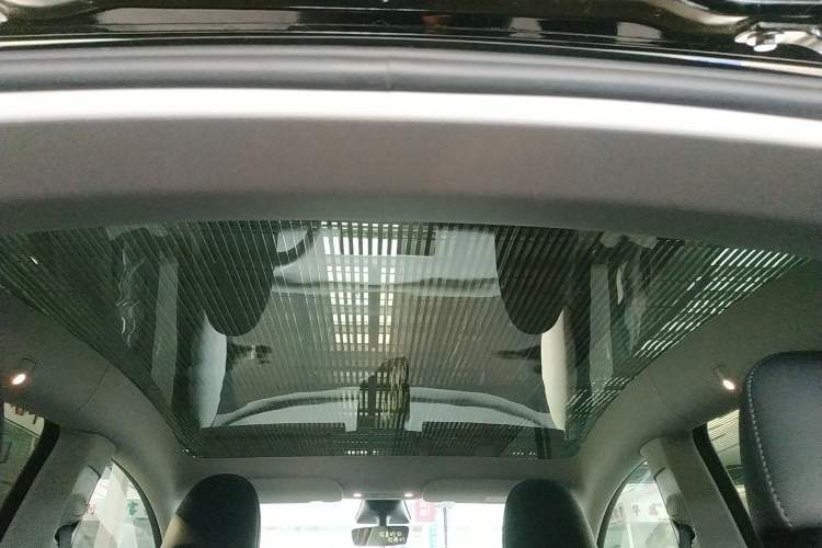 Used Tesla Model Y 2022 Revised Version Rear-Wheel Drive Headliner