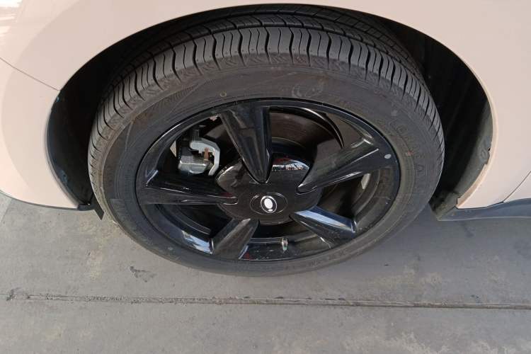 Used ORA Good Cat 2024 401 km Luxury Version