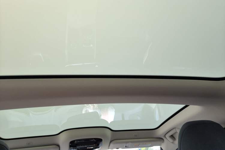 Used Lexus RZ 2023 450e All-Wheel-Drive Luxury Edition Headliner