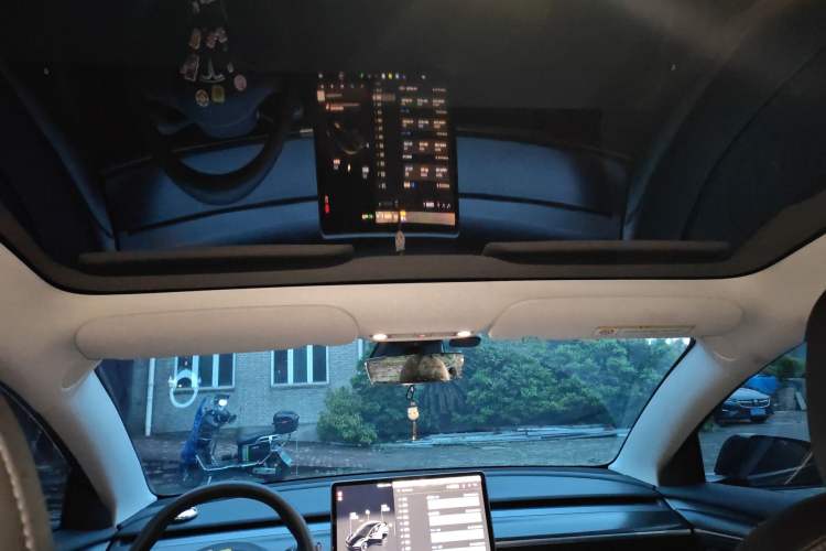 Used Tesla Model 3 2022 Rear-Wheel-Drive Version Headliner