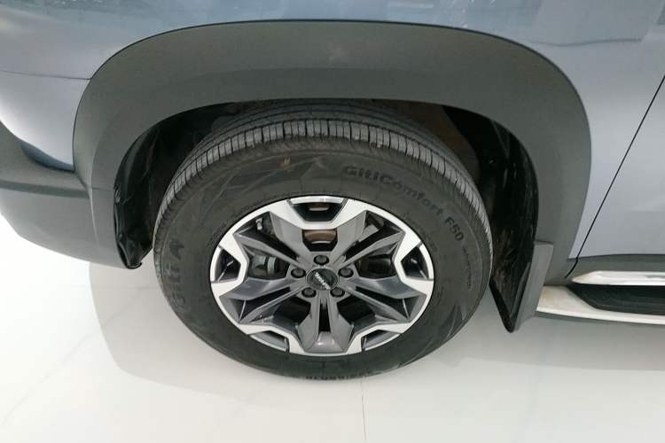 Used Haval DARGO 2022 2.0T DCT 4x4 Chinese Rural Dog Edition
