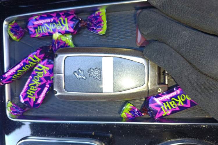 Used Hongqi HS7 2022 2.0T DCT Two-Wheel Drive Smart Connect Flagship Edition Five Seats