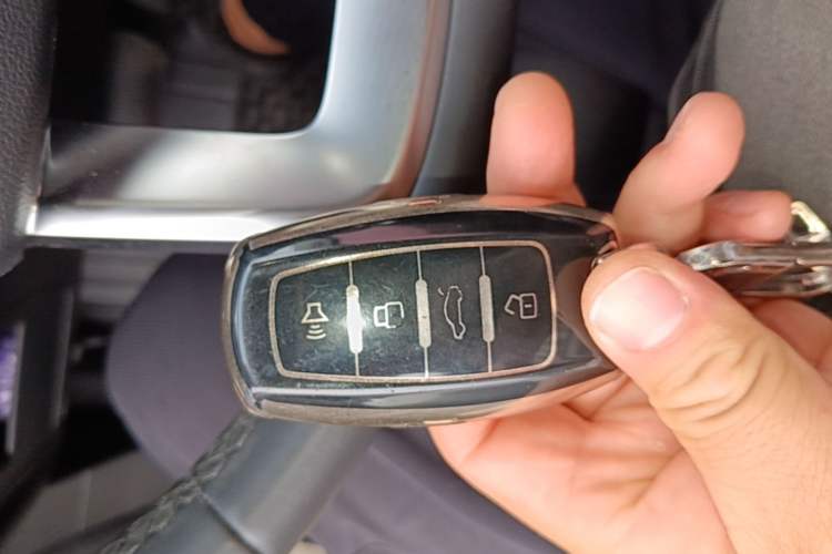 Used Haval DARGO 2024 2.0T DCT Chinese Rural Dog Edition
