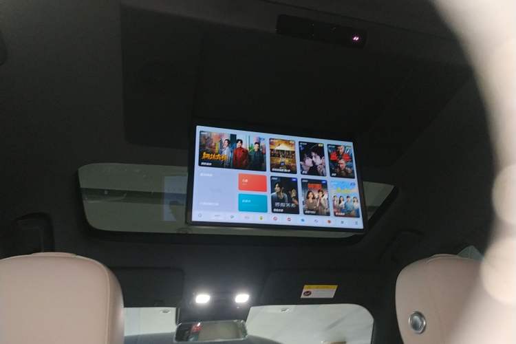 Used Li Auto L9 2024 Pro Model Headliner