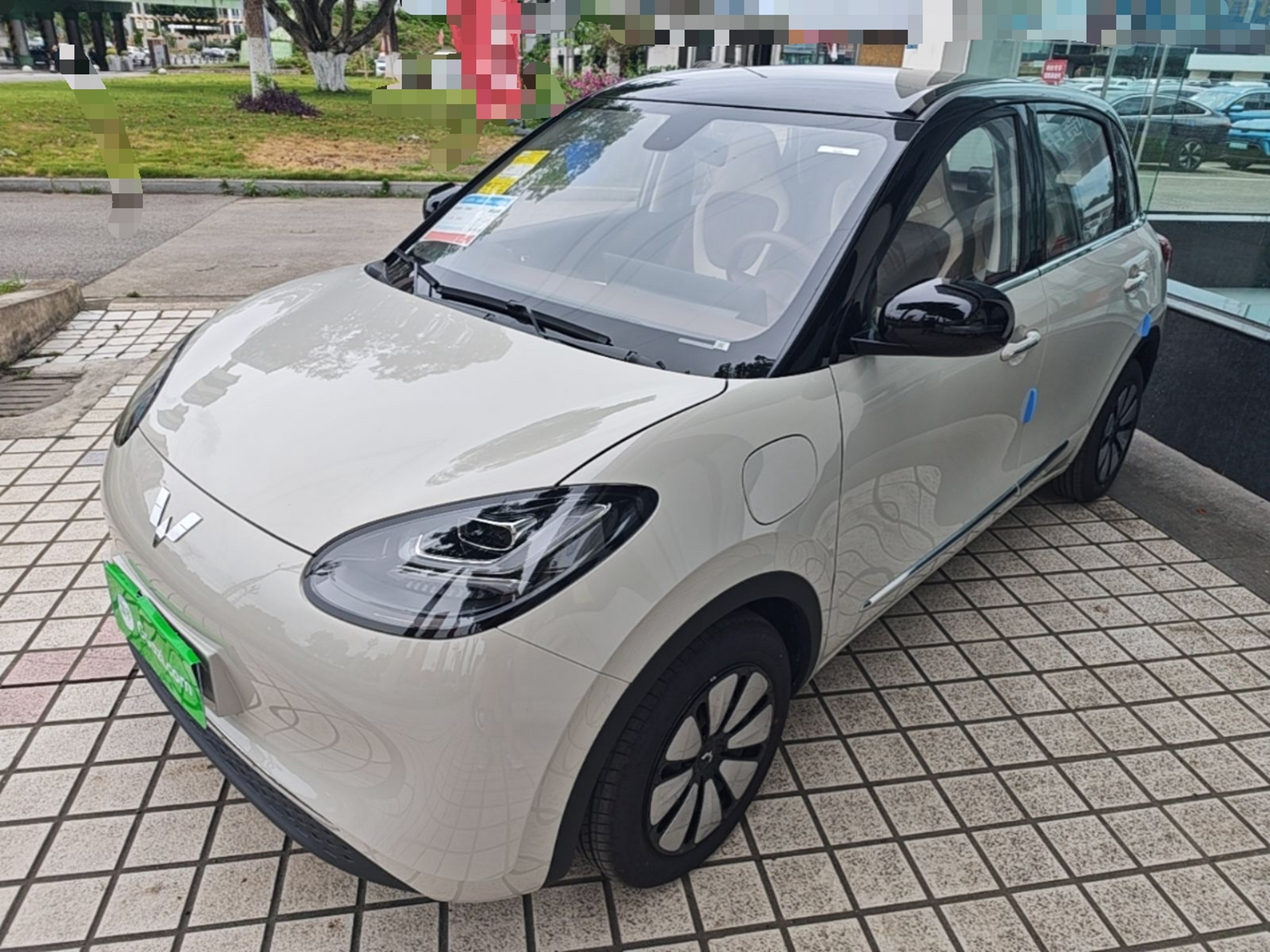 Parte inferior delantera