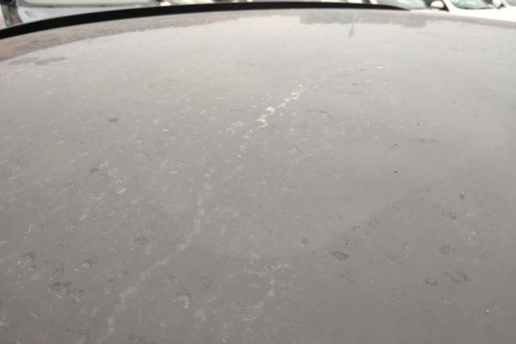 Used BYD Sealion 05 EV 2025 520 km Flagship SmartDrive Version