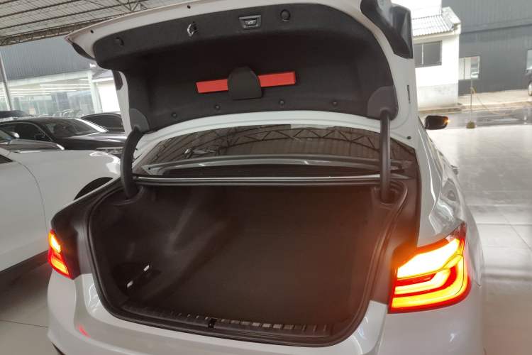 Used BMW 5 Series 2019 530Li Leading Model M Sport Package
