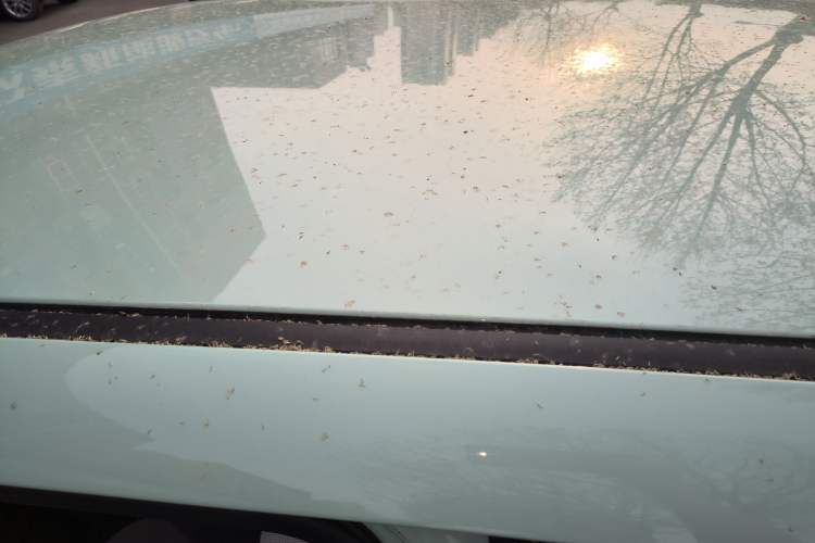 Used CHANGAN NEVO Lumin 2022 210km Sweet Edition
