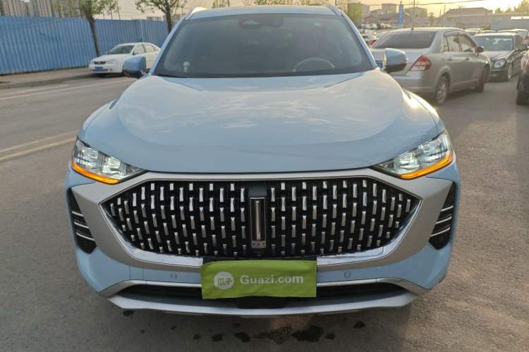 Used Wey Mocha 2021 2.0T Two-Wheel-Drive Premium Edition