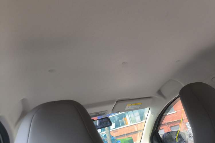 Used CHANGAN Benni E-Star 2020 Heart Edition Lithium Iron Phosphate (31.95 kWh) Headliner