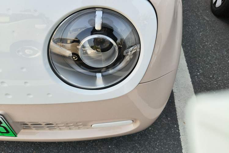 Used ORA Black Cat 2021 301km Cute Pet Edition