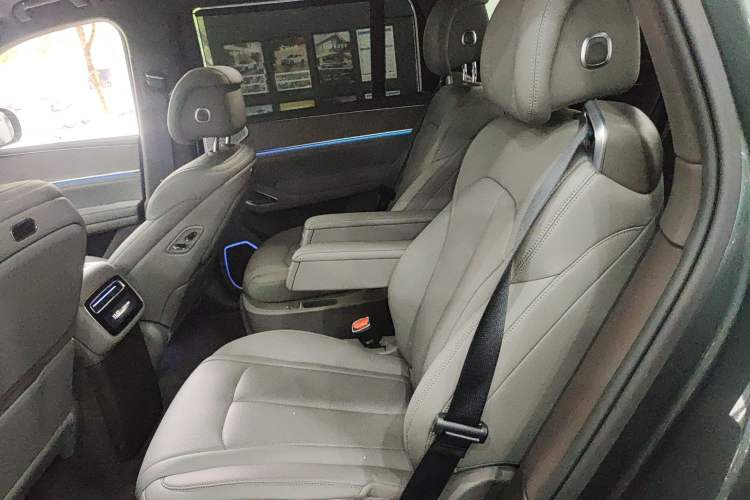 Used Denza N9 2025 Flagship Model Left Rear Seat