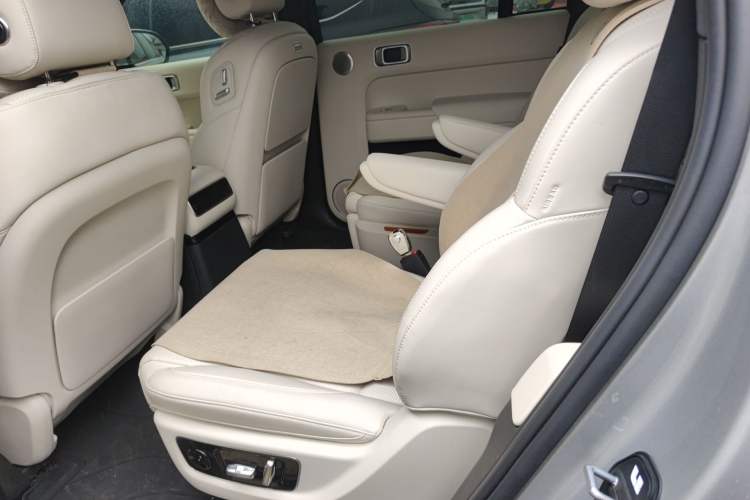 Used Li Auto L9 2024 Ultra Model Left Rear Seat