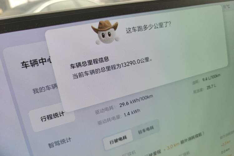Used Li Auto L9 2024 Ultra Model Odometer Close Up