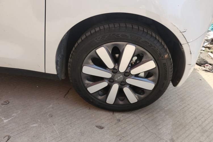 Used ORA Black Cat 2019 351 km Family Edition