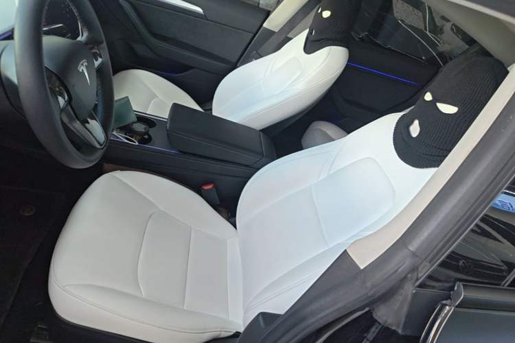 Used Tesla Model 3 2021 Performance High-Performance All-Wheel-Drive Version 3D6