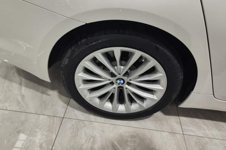 Used BMW 5 Series New Energy 2020 530Le Luxury Package
